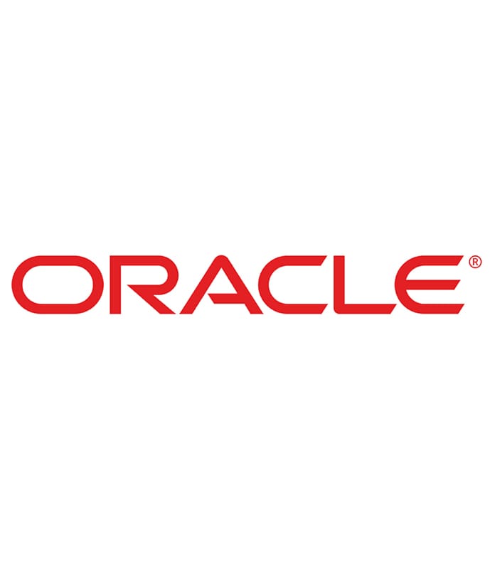 Oracle ERP Support